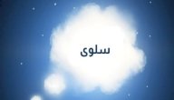 صورة مقال تفسير اسم سلوى في المنام