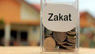 صورة مقال حكم إعطاء الأطفال من زكاة المال