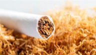 صورة مقال كيفية استخلاص سم النيكوتين من التبغ