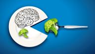 صورة مقال ما هو الغذاء الرئيسي للدماغ