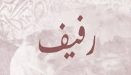 معنى اسم رفيف