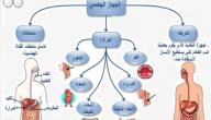صورة مقال كيف يتم الهضم