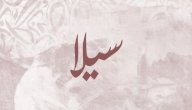 معنى اسم سيلا