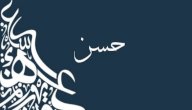 معنى اسم حسن