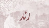 معنى اسم رند