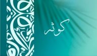صورة مقال معنى اسم كوثر