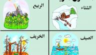 صورة مقال ما هي فصول السنة