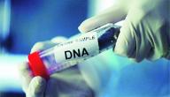 صورة مقال ما هو تحليل DNA