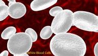 صورة مقال ما هو تحليل WBC