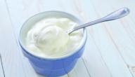 صورة مقال كيف تصنع اللبن الرائب