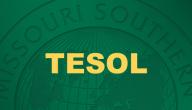 صورة مقال ما هو تخصص TESOL