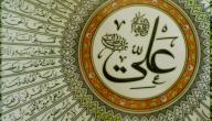 صورة مقال حكم علي بن أبي طالب
