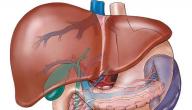 صورة مقال ما هي أعراض التهاب الكبد