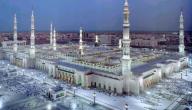صورة مقال أين تقع المدينة المنورة