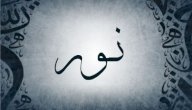 ما معنى اسم نور