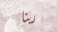 صورة مقال معنى اسم رينا