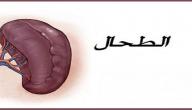صورة مقال ما هي أعراض أمراض الطحال