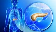 صورة مقال أين يقع البنكرياس في جسم الإنسان