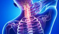 صورة مقال أين يقع النخاع الشوكي