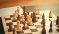 صورة مقال من اخترع لعبة الشطرنج