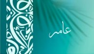 صورة مقال معنى اسم عامر