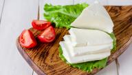 صورة مقال فوائد الجبنة البيضاء