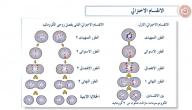 صورة مقال مراحل الانقسام الاختزالي