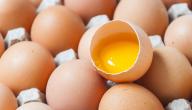 صورة مقال هل هناك فوائد لشرب البيض النيء