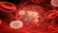 صورة مقال أضرار ارتفاع كريات الدم البيضاء