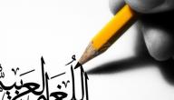 صورة مقال مقال عن أهمية اللغة العربية