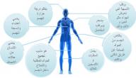 أهمية الماء في جسم الإنسان