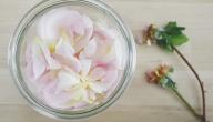 صورة مقال طريقة تحضير ماء الورد
