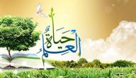 صورة مقال حكم وأقوال عن العلم