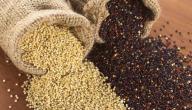 صورة مقال فوائد بذور الكينوا