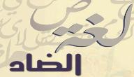 صورة مقال مدح اللغة العربية