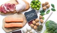 أهمية الحديد لجسم الإنسان