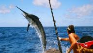 صورة مقال أفضل طريقة لصيد السمك بالسنارة