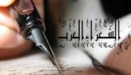 صورة مقال أهم شعراء العرب