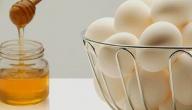 صورة مقال فوائد البيض والعسل للشعر