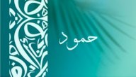 صورة مقال معنى اسم حمود