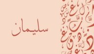 صورة مقال معنى اسم سليمان