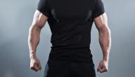 صورة مقال تضخيم العضلات بسرعة
