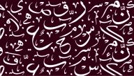صورة مقال تطور اللغة العربية