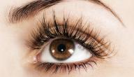 صورة مقال تطويل الرموش في أسبوع