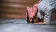 صورة مقال كم عدد ركعات سنة الظهر