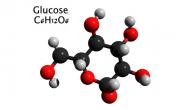 صورة مقال أين يوجد سكر الجلوكوز