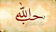 صورة مقال أجمل الكلام في حب الله