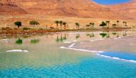صورة مقال أين يقع البحر الميت ولماذا سمي بهذا الاسم