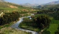 صورة مقال أين يصب نهر الزرقاء