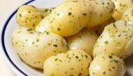 صورة مقال عمل البطاطا المسلوقة
